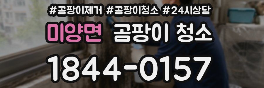 미양면 곰팡이 청소