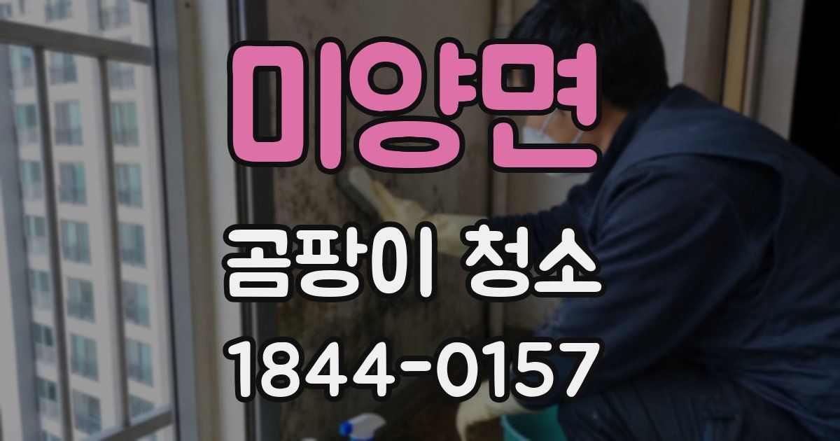 미양면 곰팡이 청소