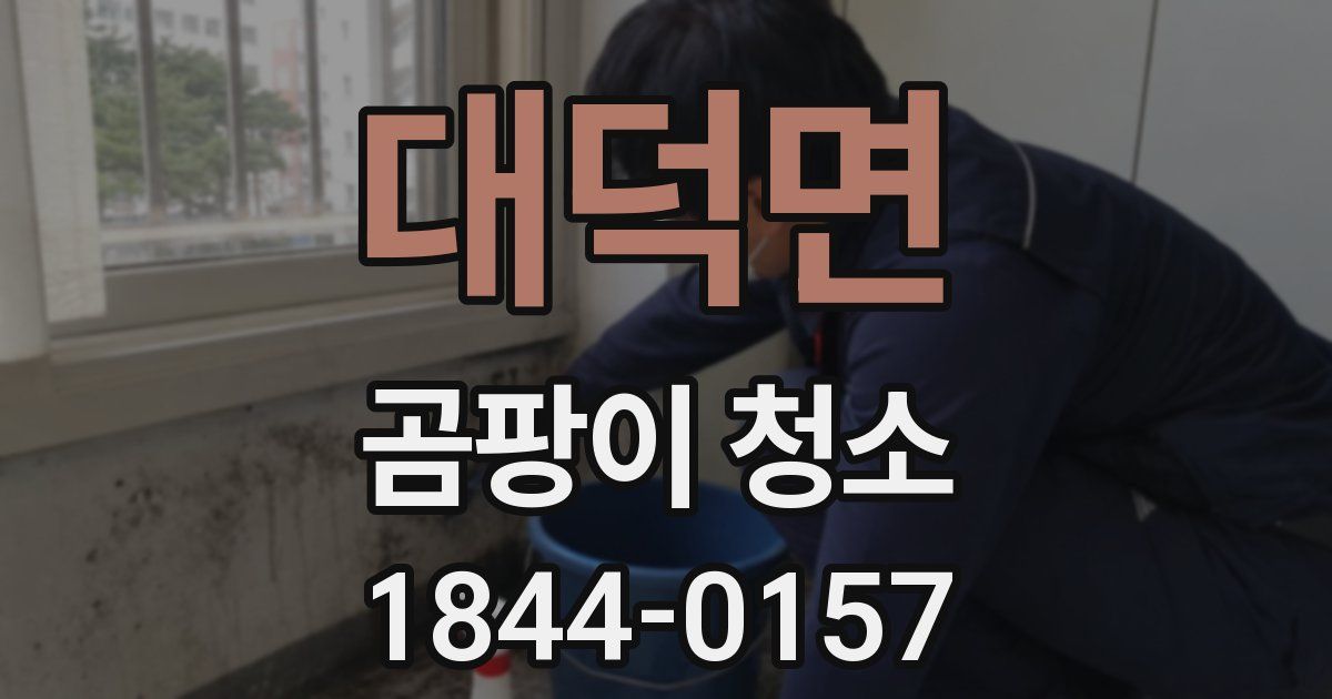대덕면 곰팡이 청소