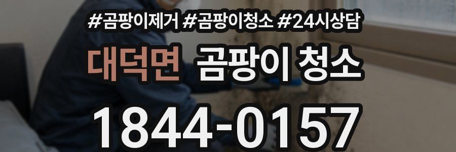 대덕면 곰팡이 청소