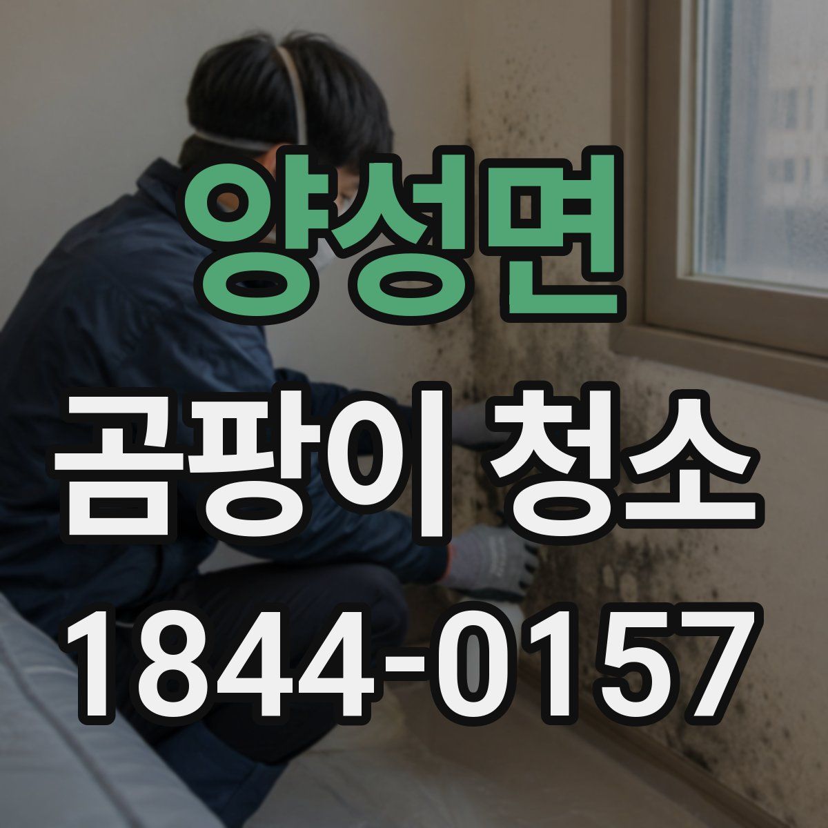 양성면 곰팡이 청소