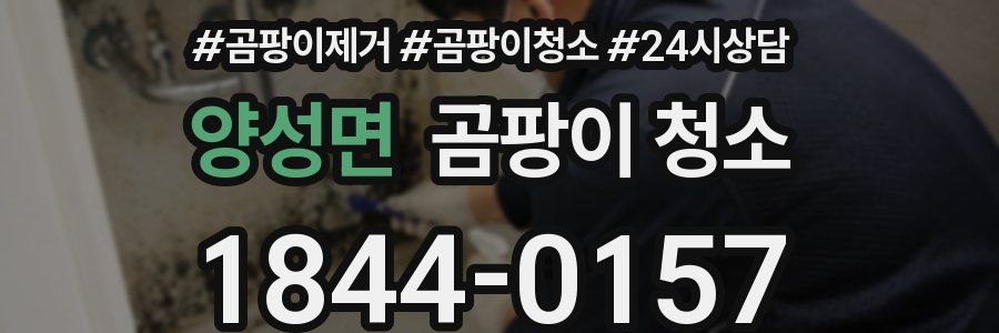 양성면 곰팡이 청소