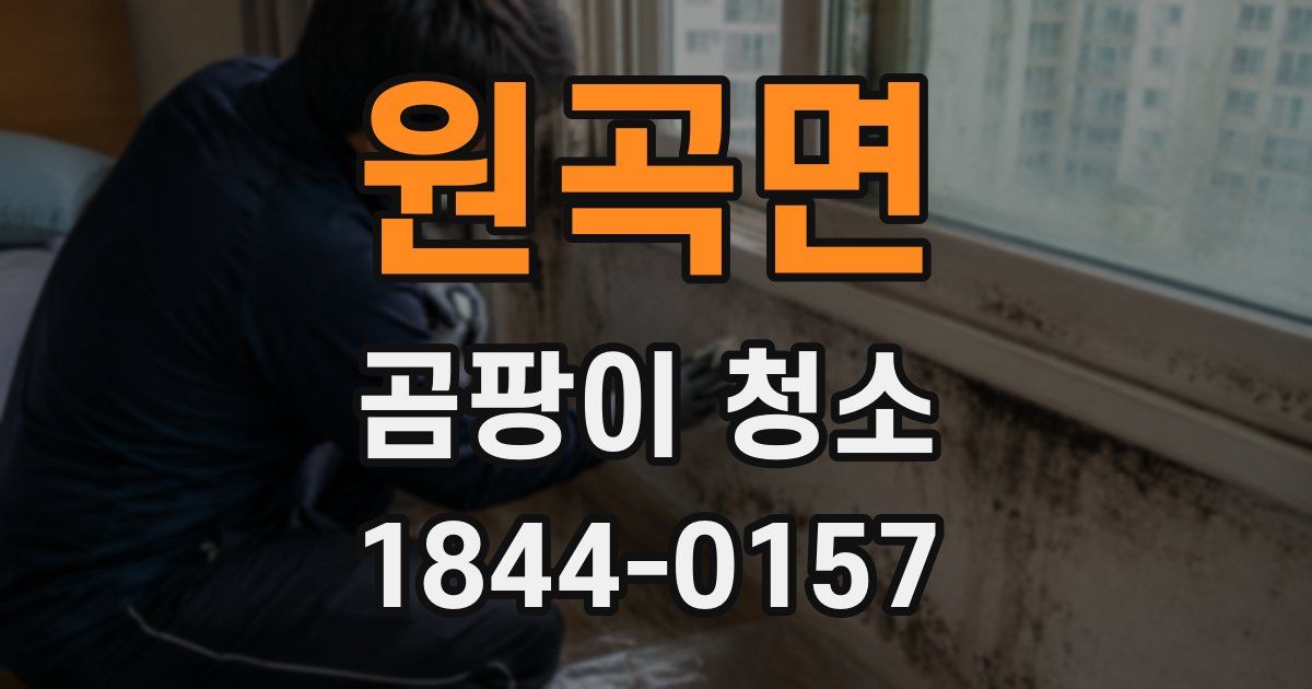 원곡면 곰팡이 청소