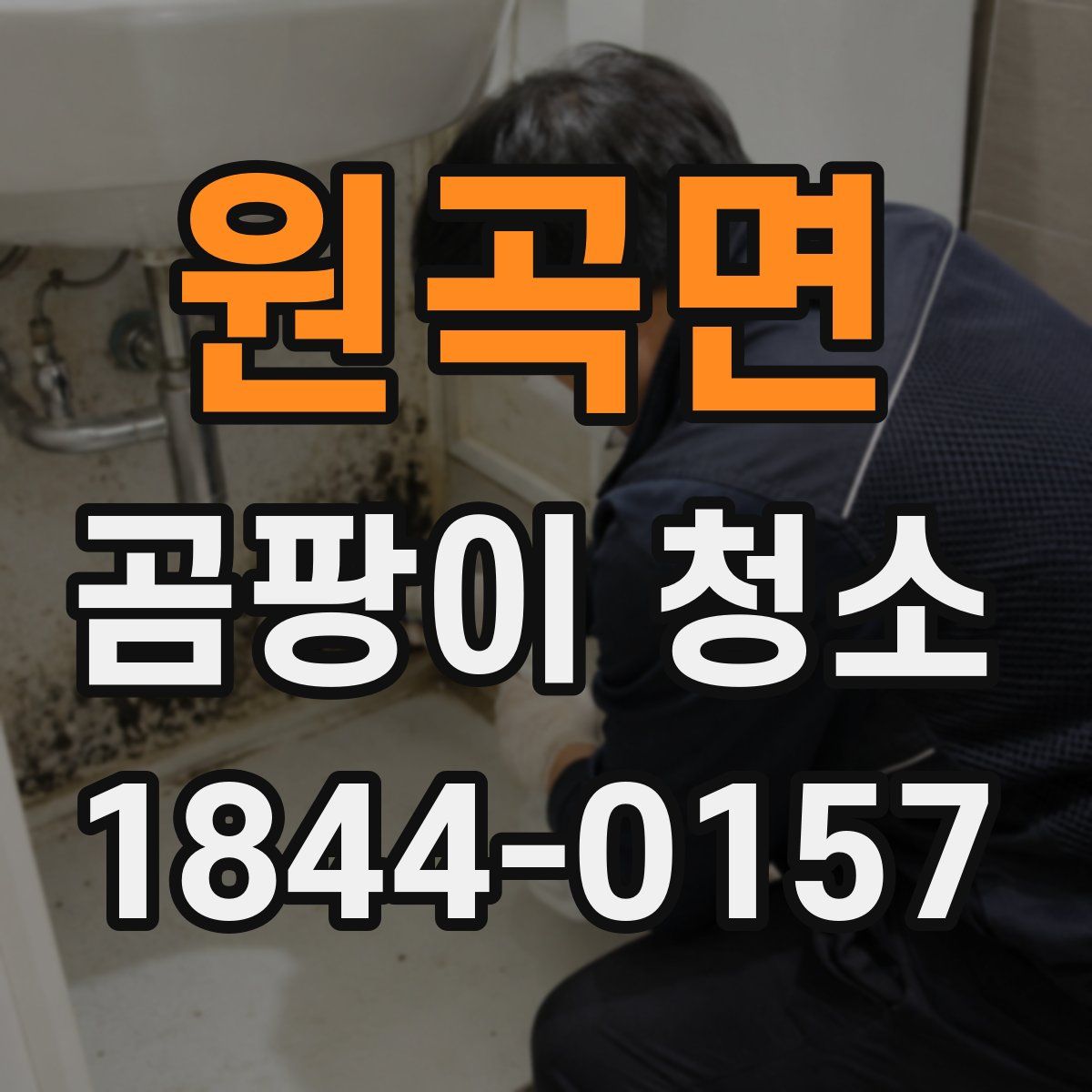 원곡면 곰팡이 청소