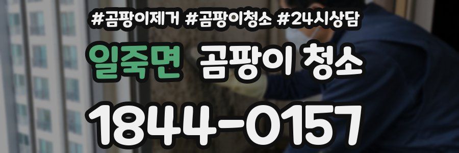 일죽면 곰팡이 청소