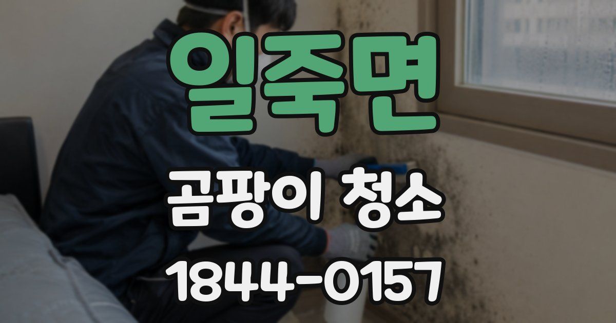 일죽면 곰팡이 청소