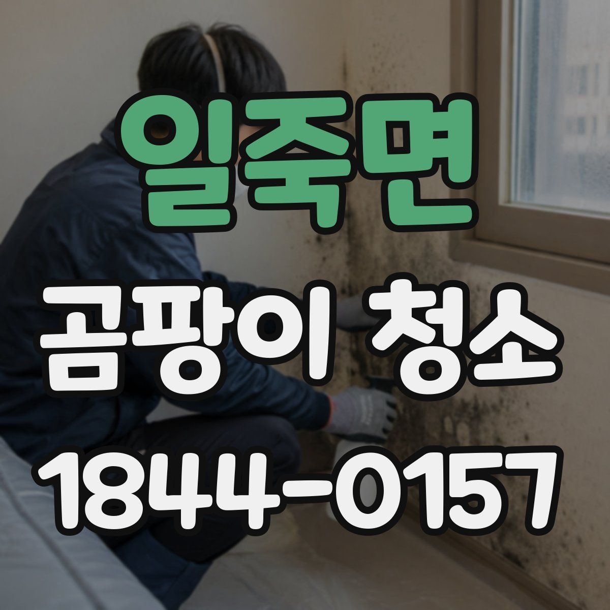 일죽면 곰팡이 청소