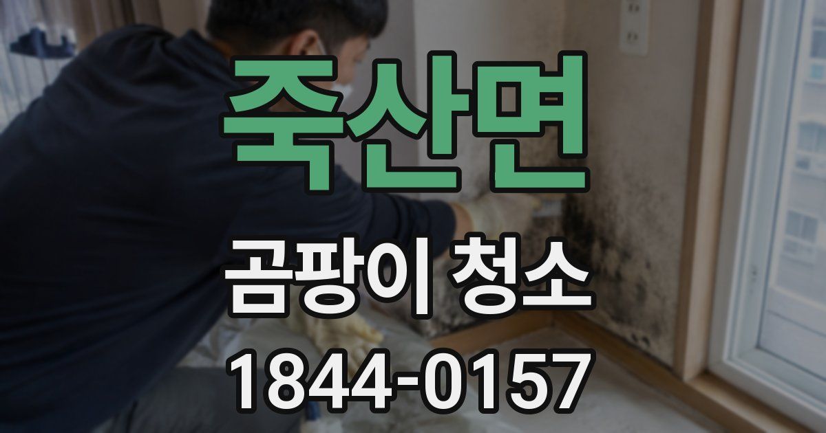 죽산면 곰팡이 청소