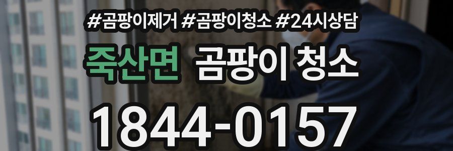 죽산면 곰팡이 청소