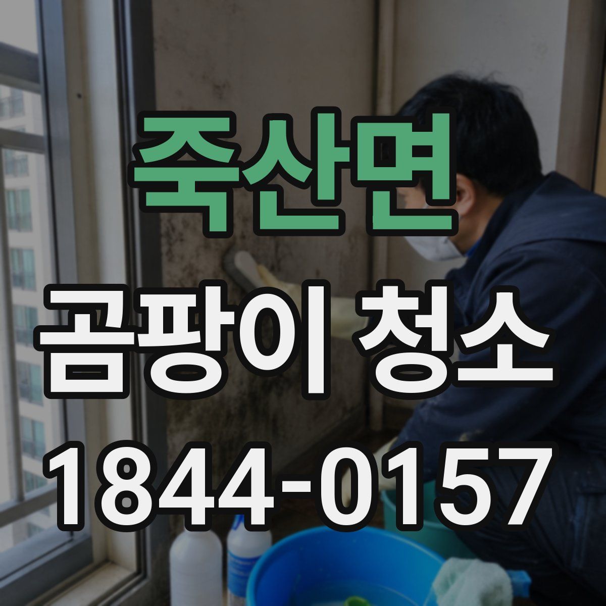 죽산면 곰팡이 청소