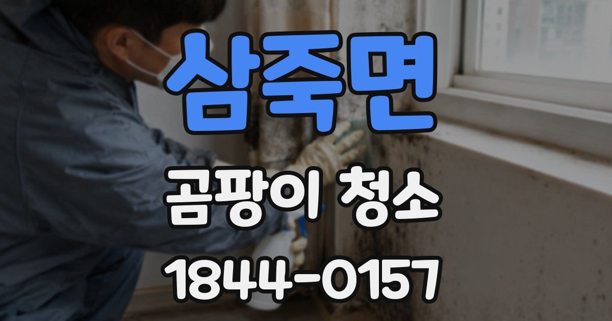 삼죽면 곰팡이 청소