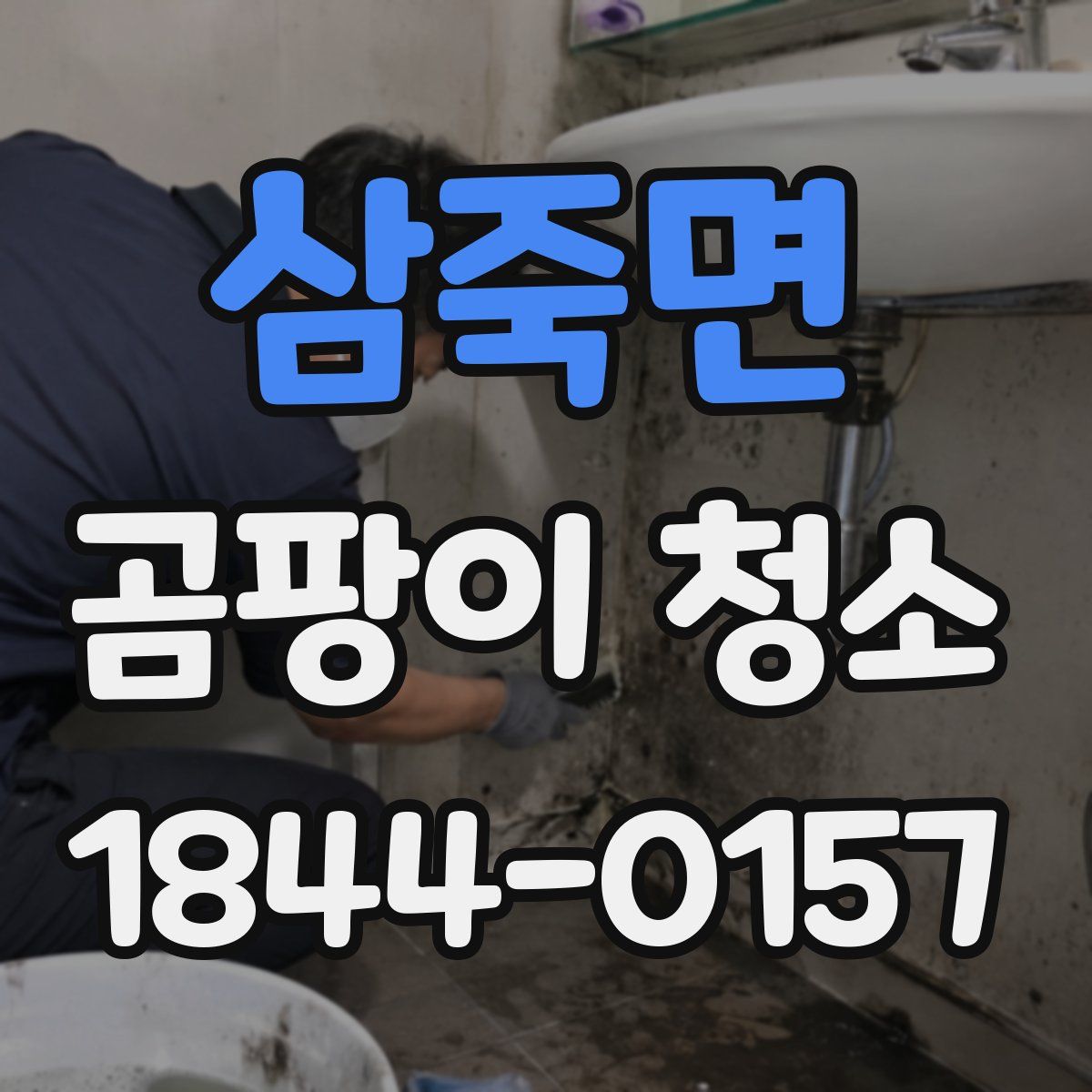 삼죽면 곰팡이 청소