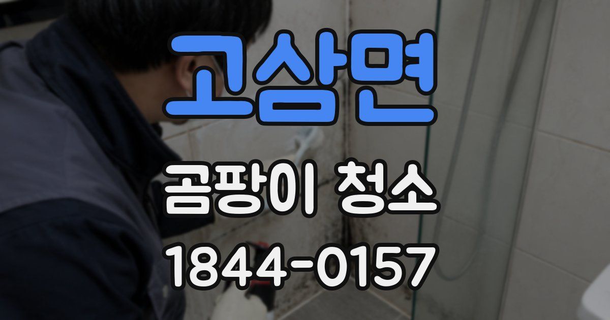 고삼면 곰팡이 청소