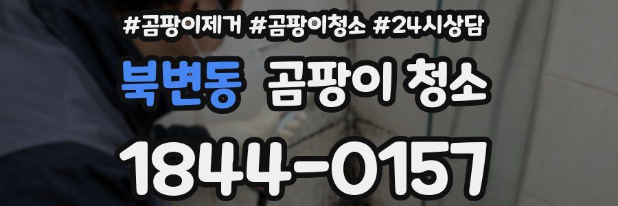 북변동 곰팡이 청소