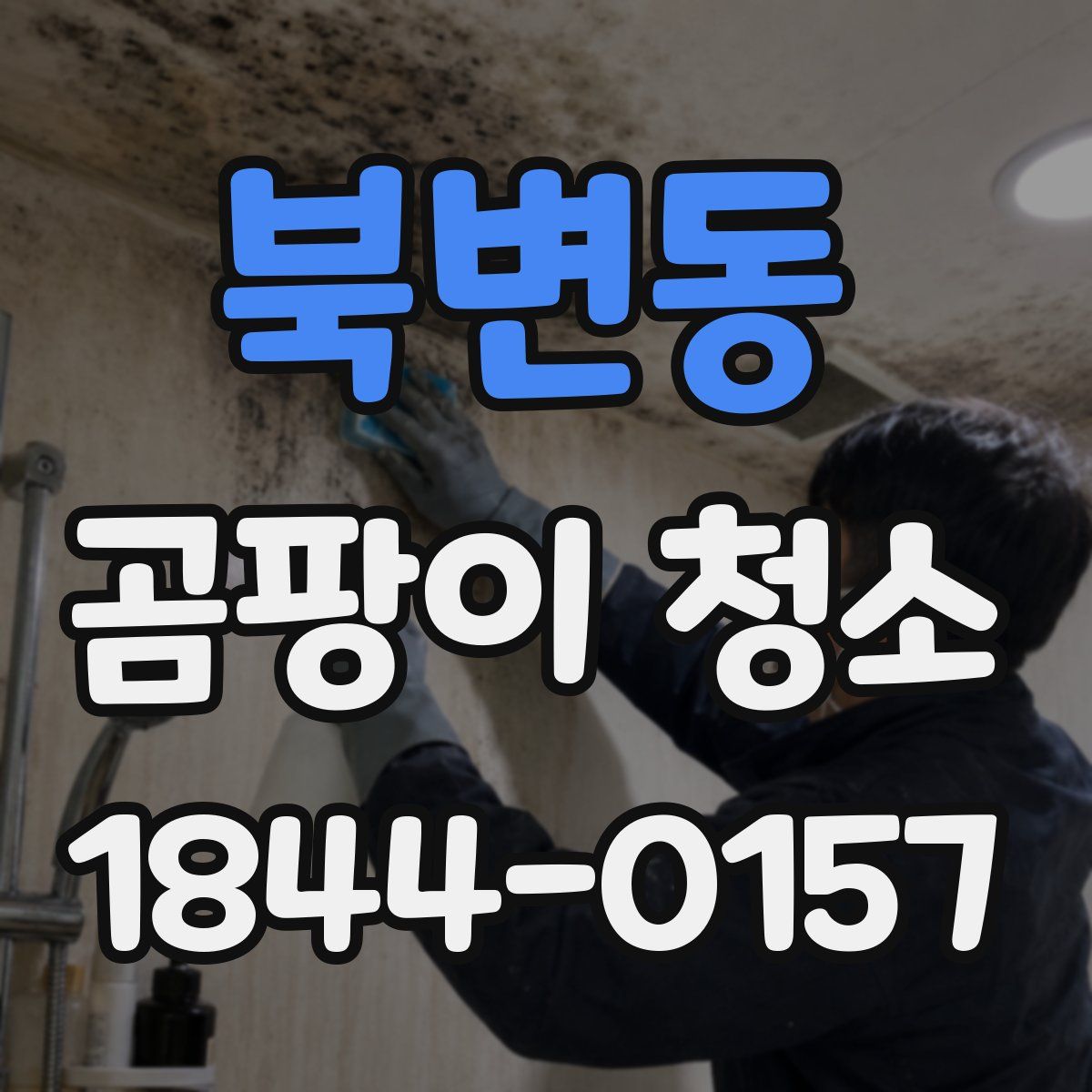 북변동 곰팡이 청소