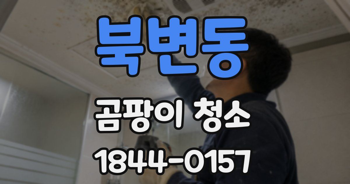 북변동 곰팡이 청소