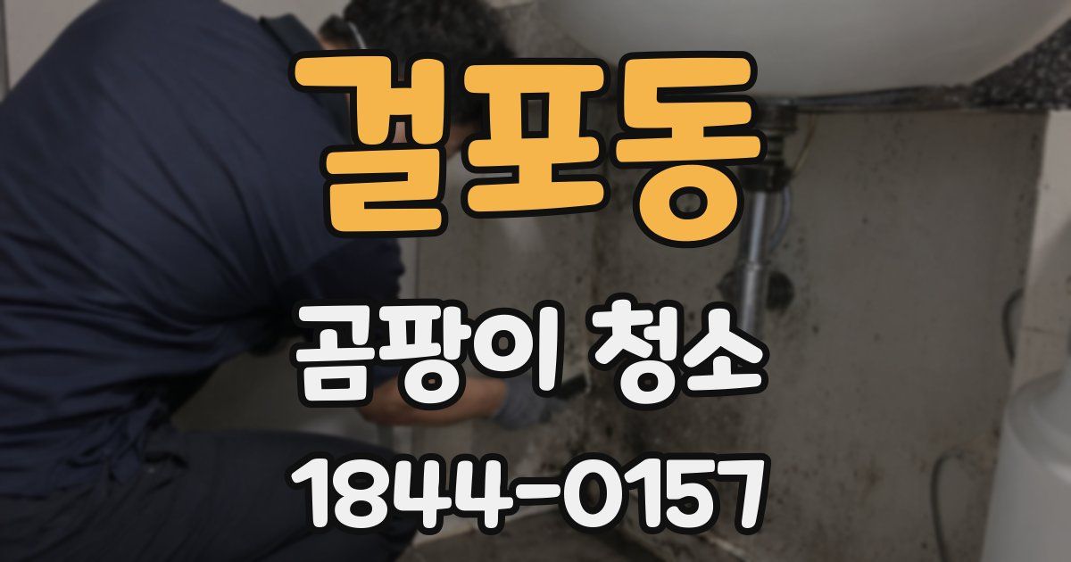 걸포동 곰팡이 청소