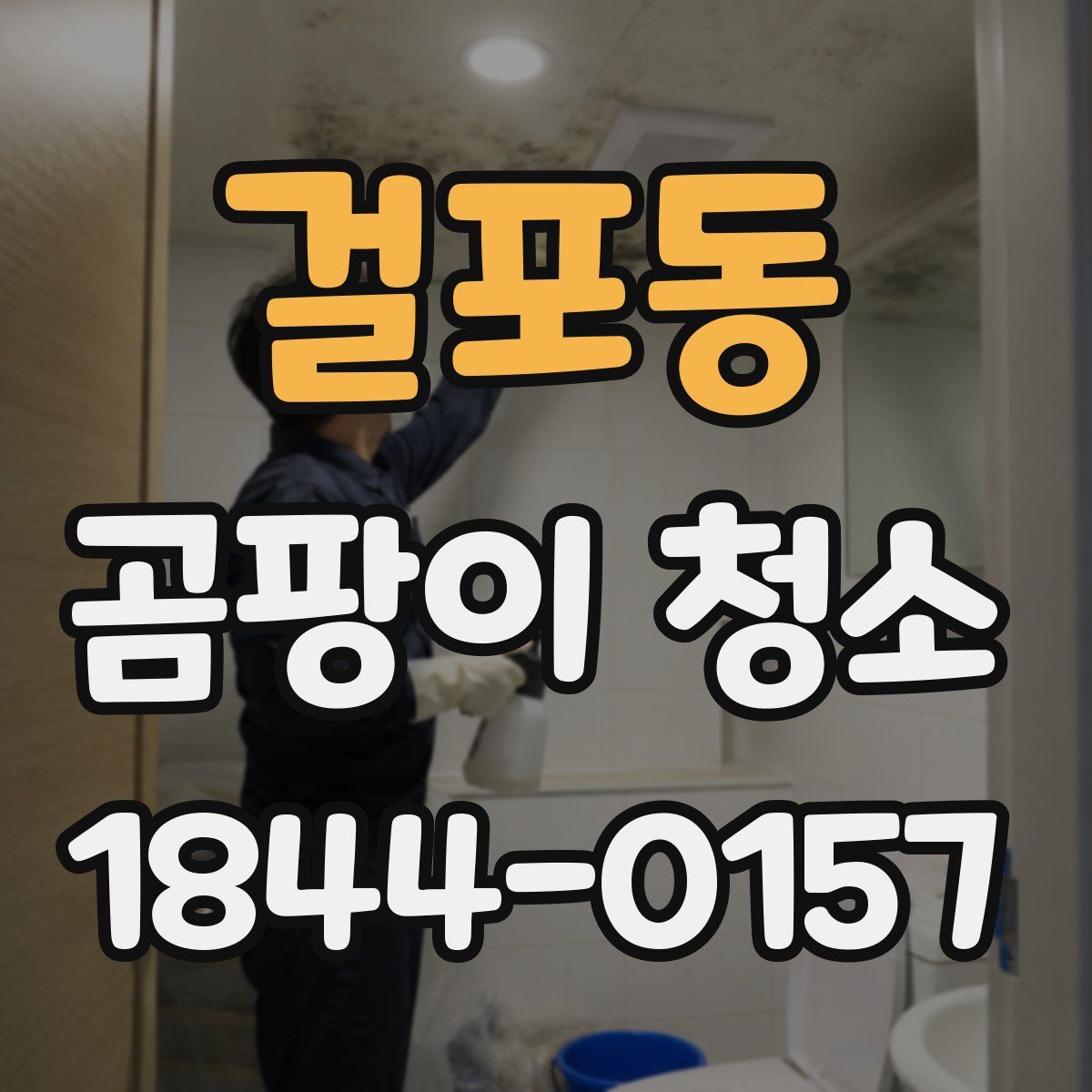 걸포동 곰팡이 청소