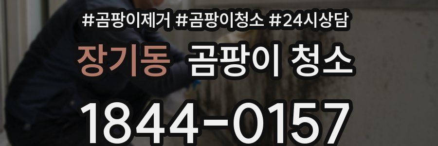 장기동 곰팡이 청소