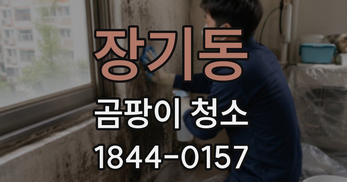 장기동 곰팡이 청소