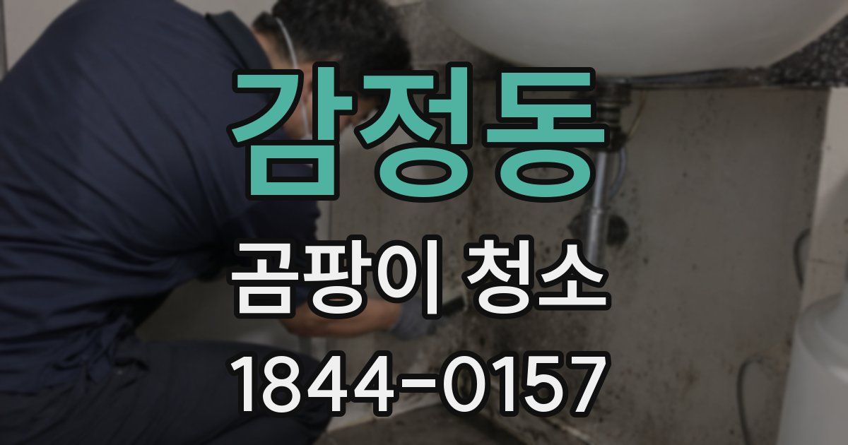 감정동 곰팡이 청소