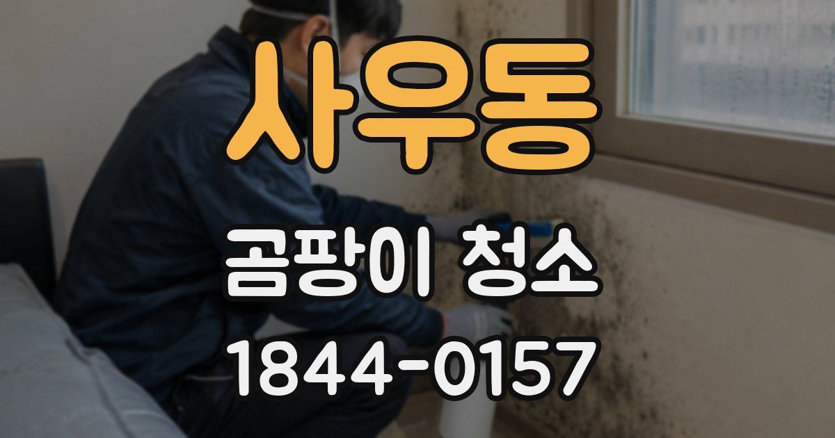 사우동 곰팡이 청소