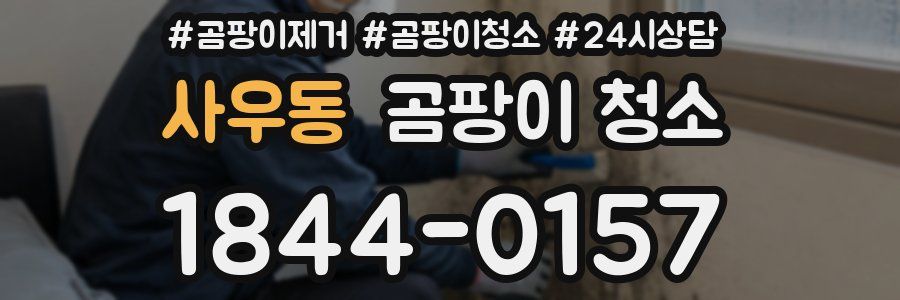 사우동 곰팡이 청소