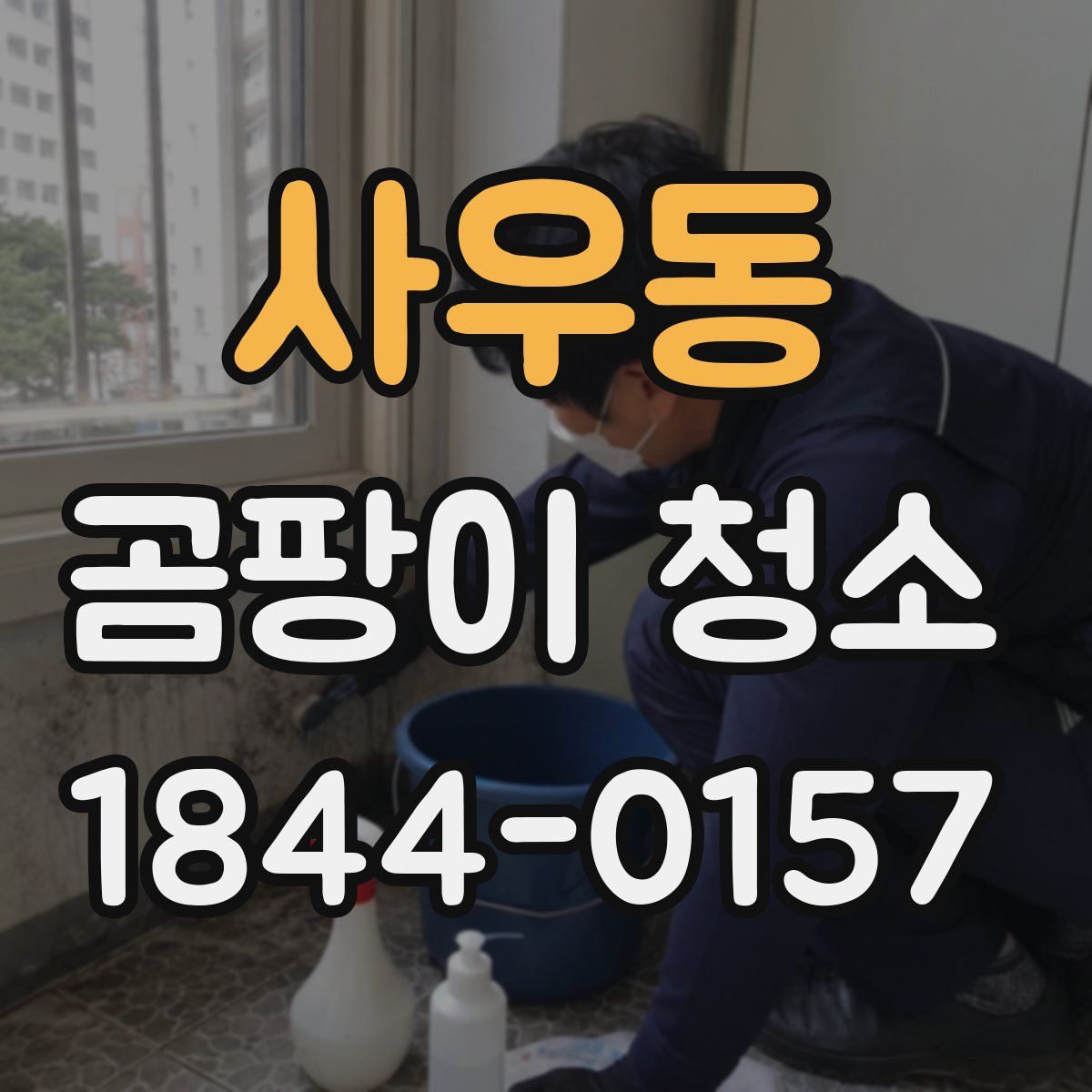 사우동 곰팡이 청소