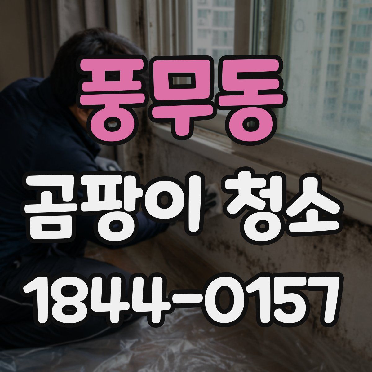 풍무동 곰팡이 청소
