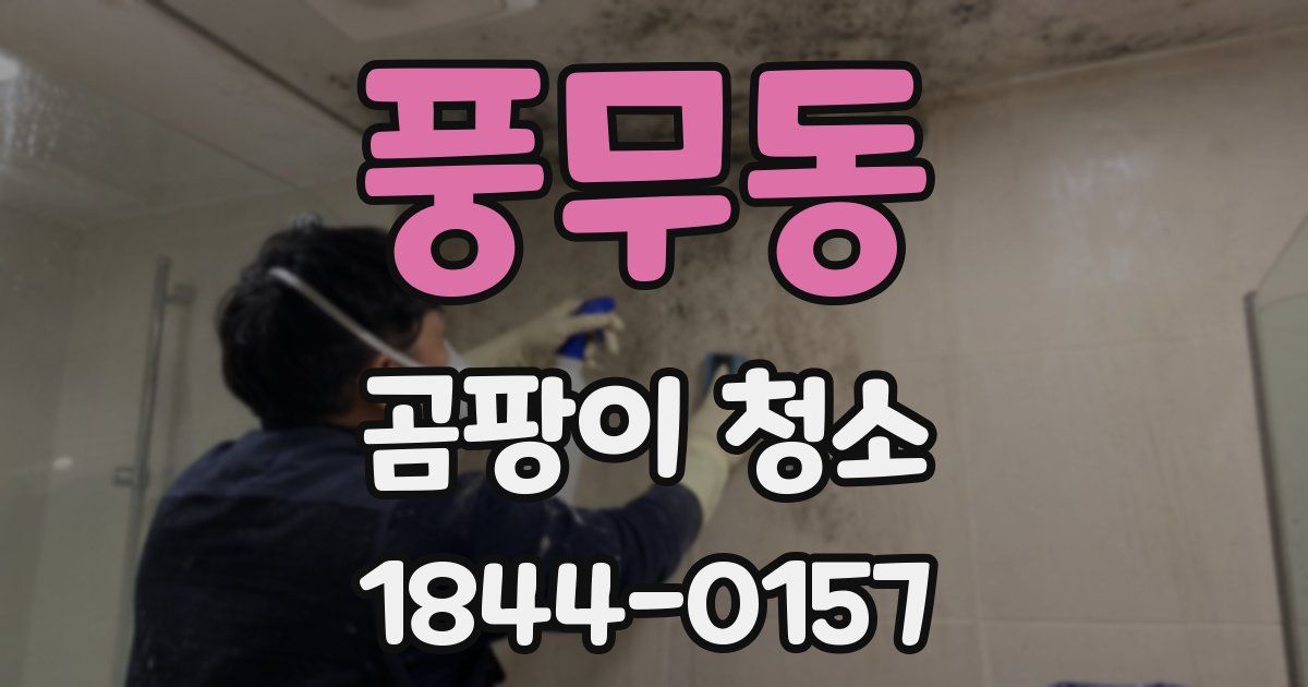 풍무동 곰팡이 청소