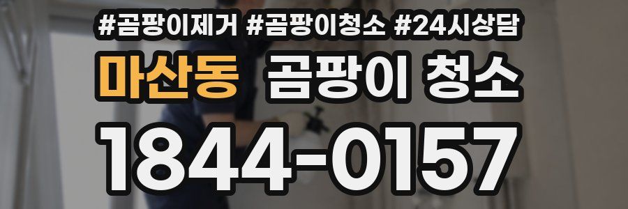 마산동 곰팡이 청소