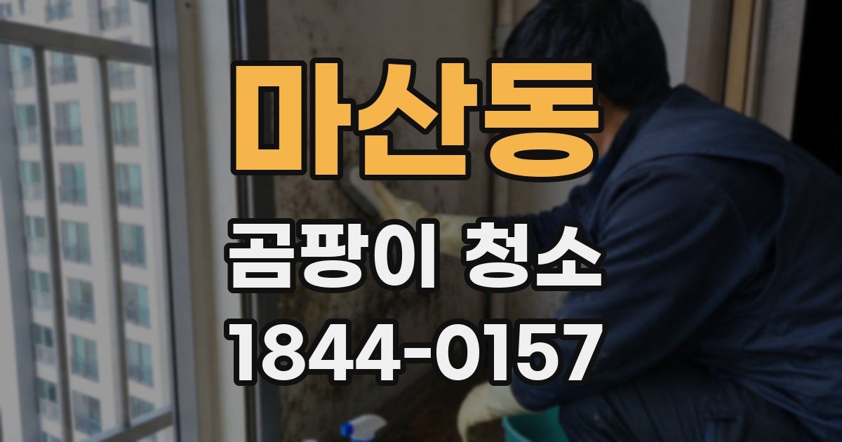 마산동 곰팡이 청소