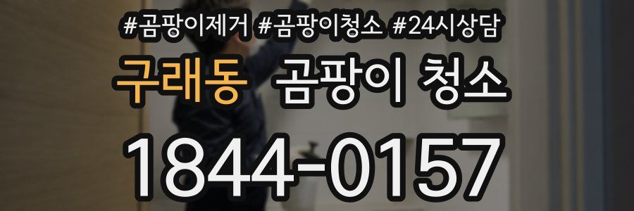 구래동 곰팡이 청소