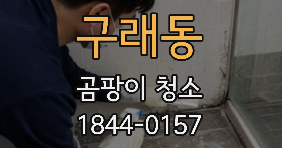 구래동 곰팡이 청소