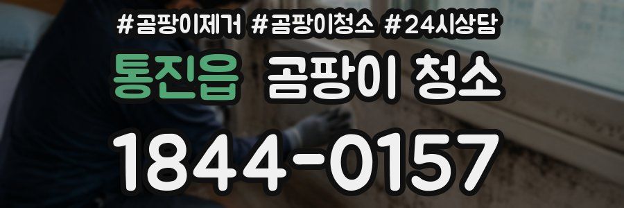 통진읍 곰팡이 청소