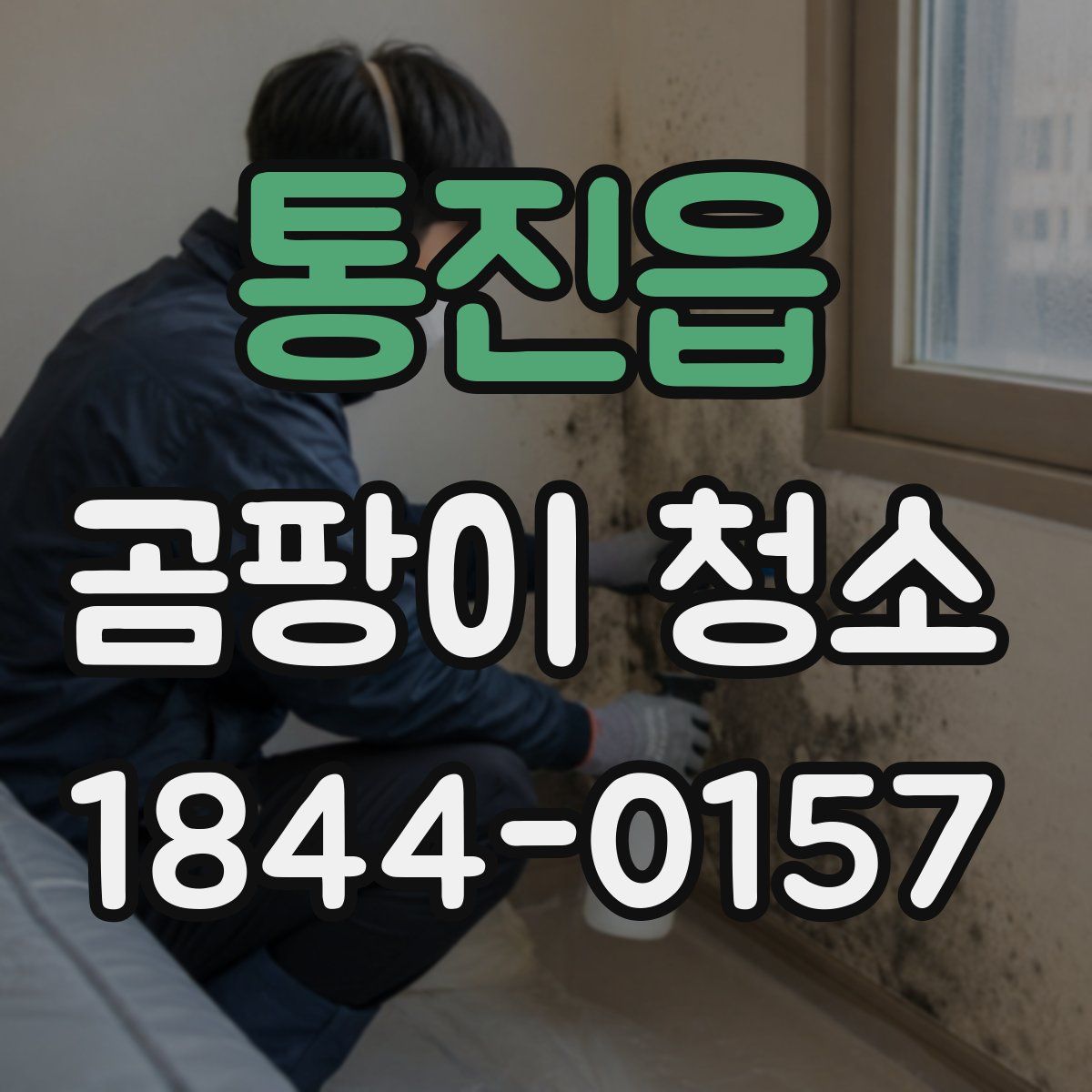 통진읍 곰팡이 청소