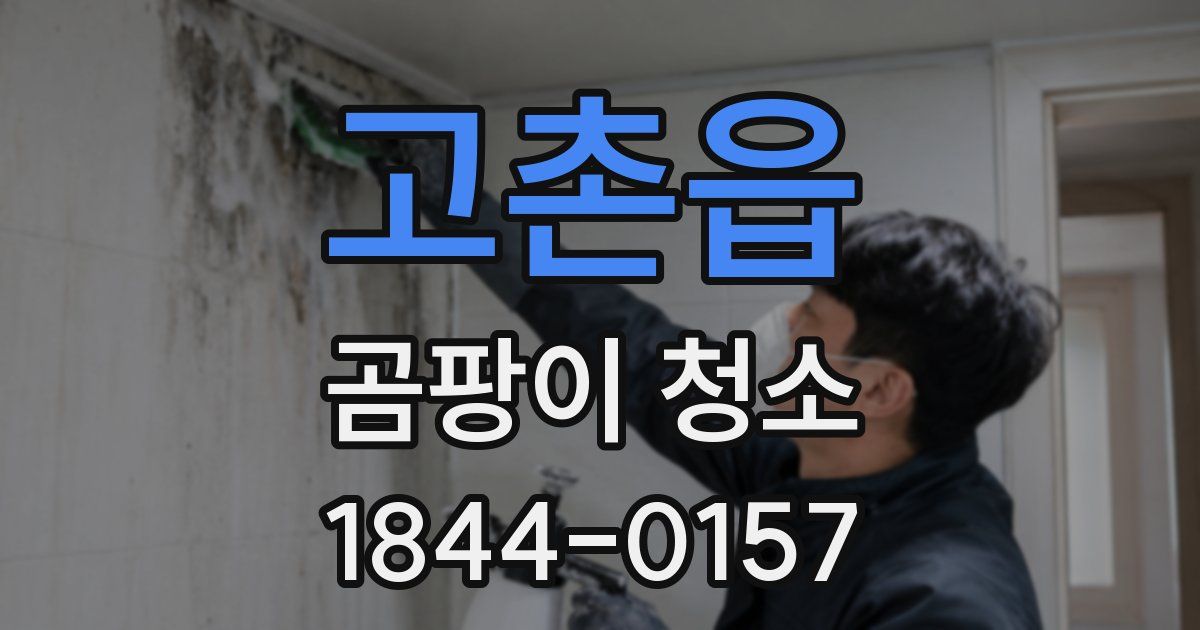 고촌읍 곰팡이 청소