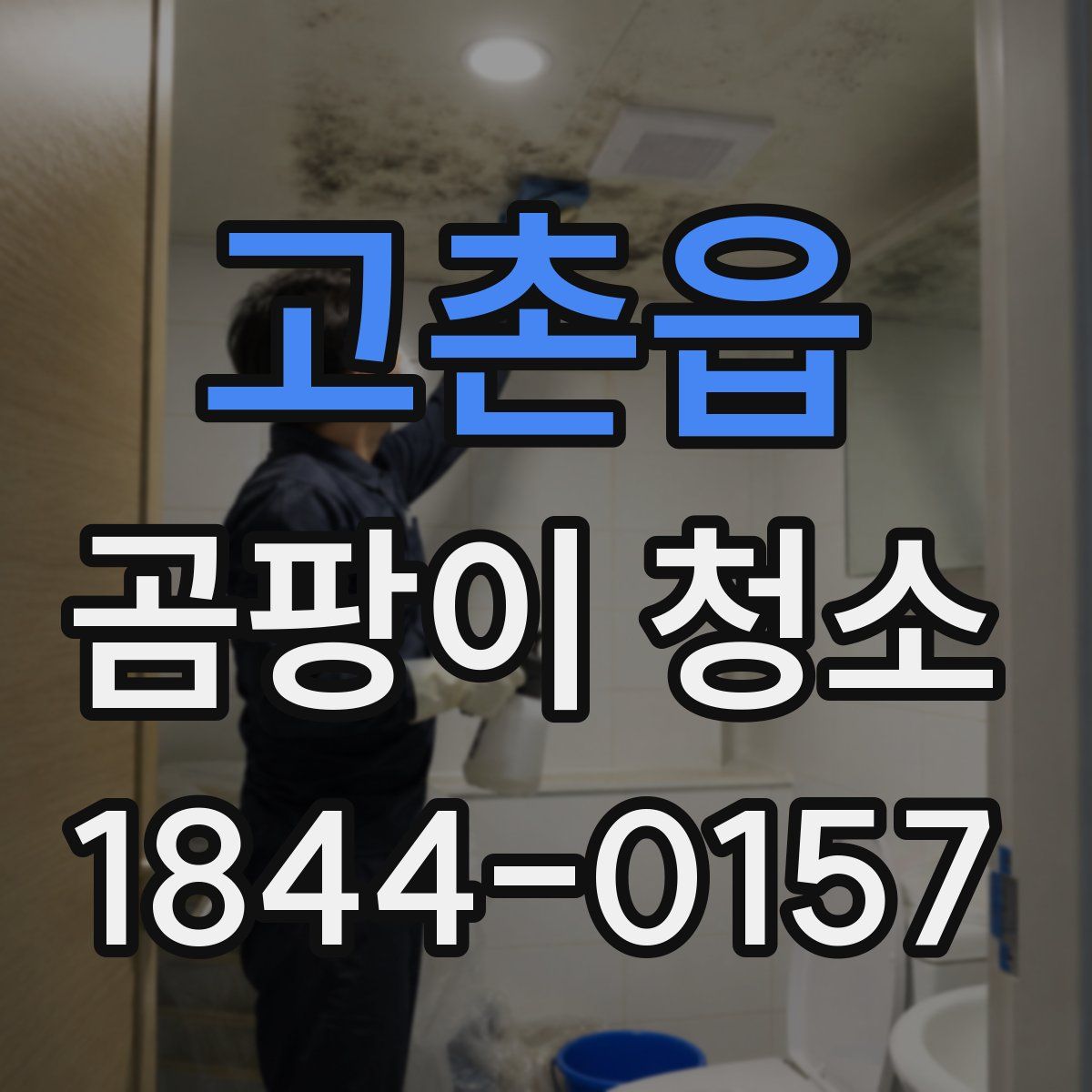 고촌읍 곰팡이 청소