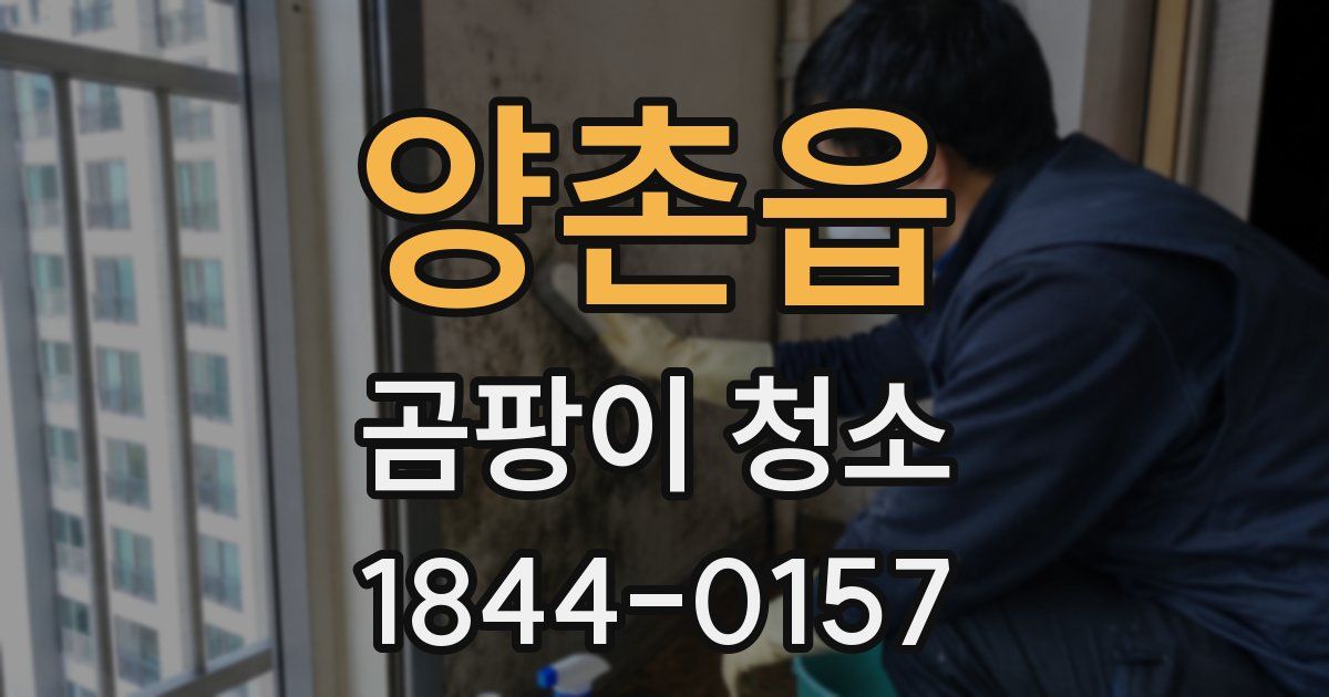 양촌읍 곰팡이 청소