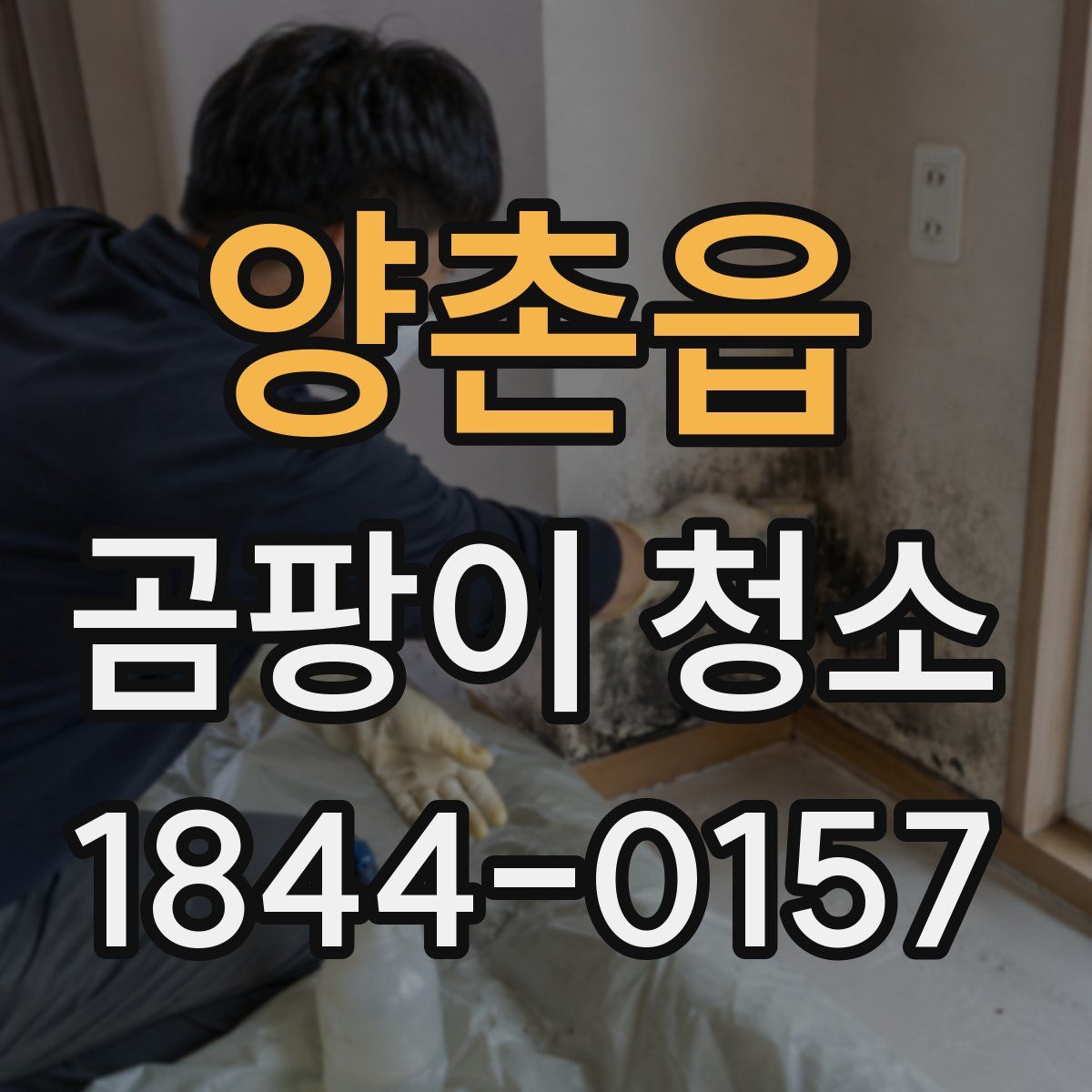 양촌읍 곰팡이 청소