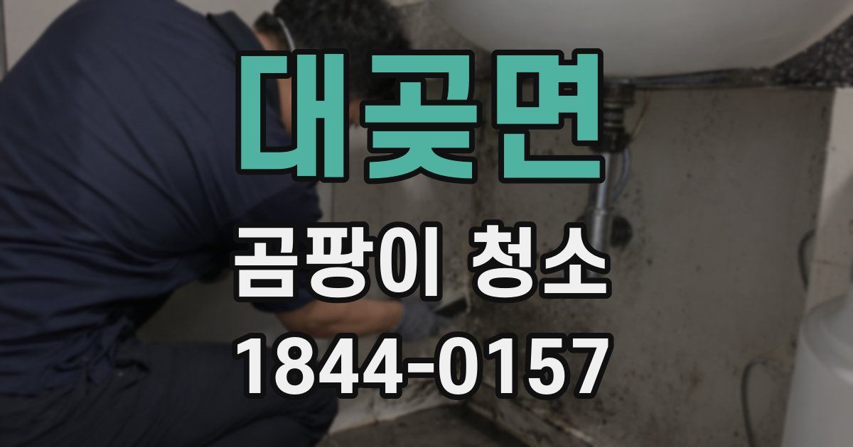 대곶면 곰팡이 청소