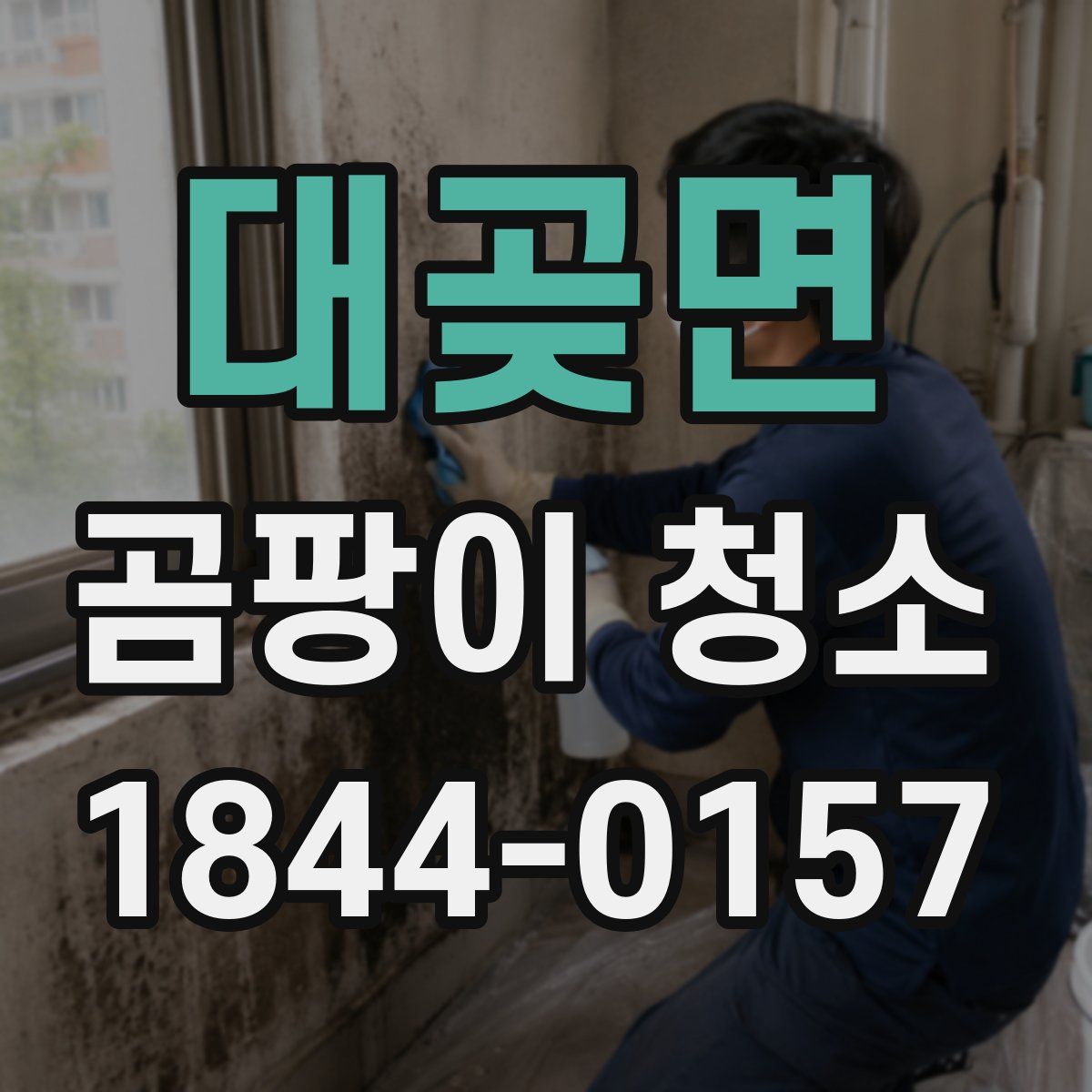 대곶면 곰팡이 청소