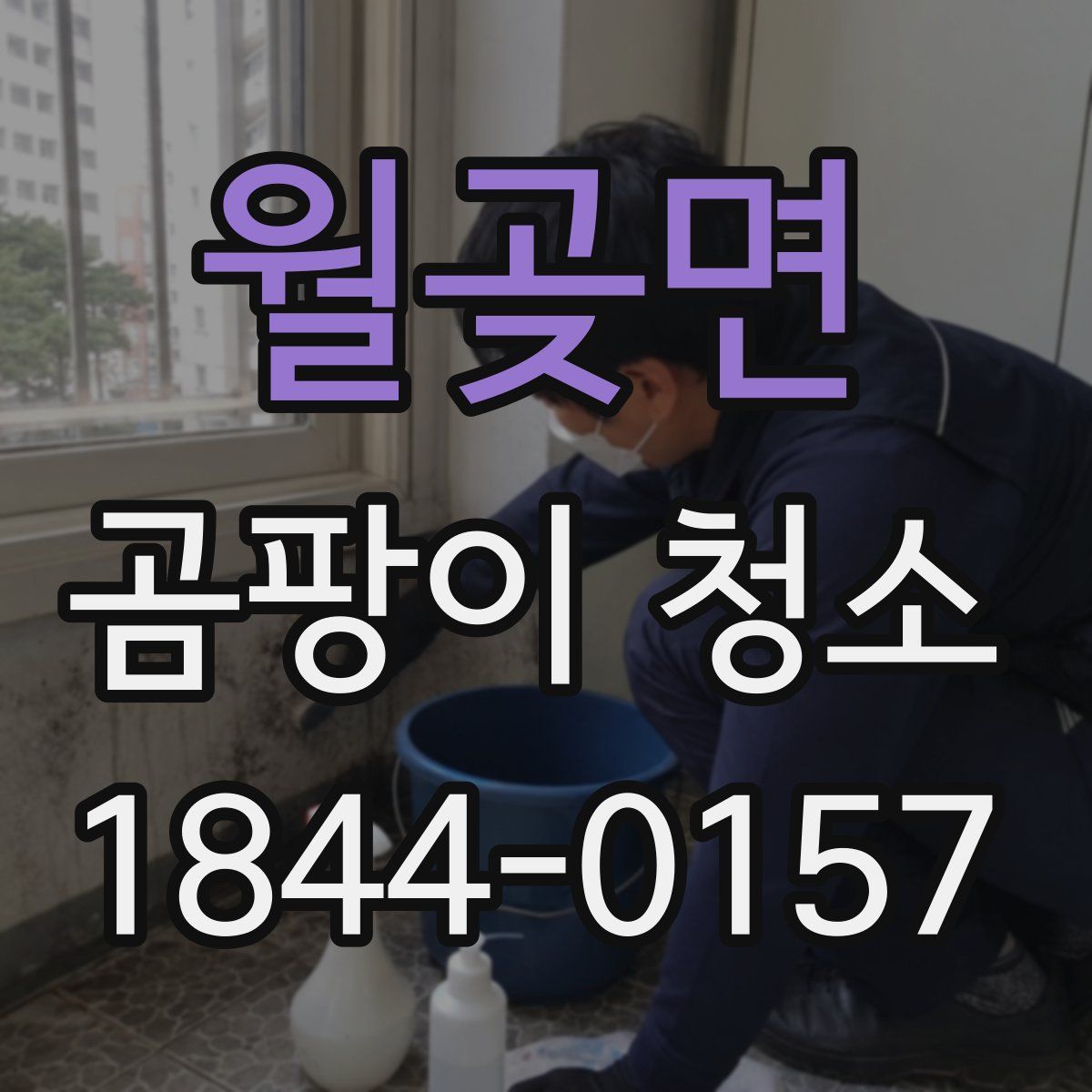 월곶면 곰팡이 청소