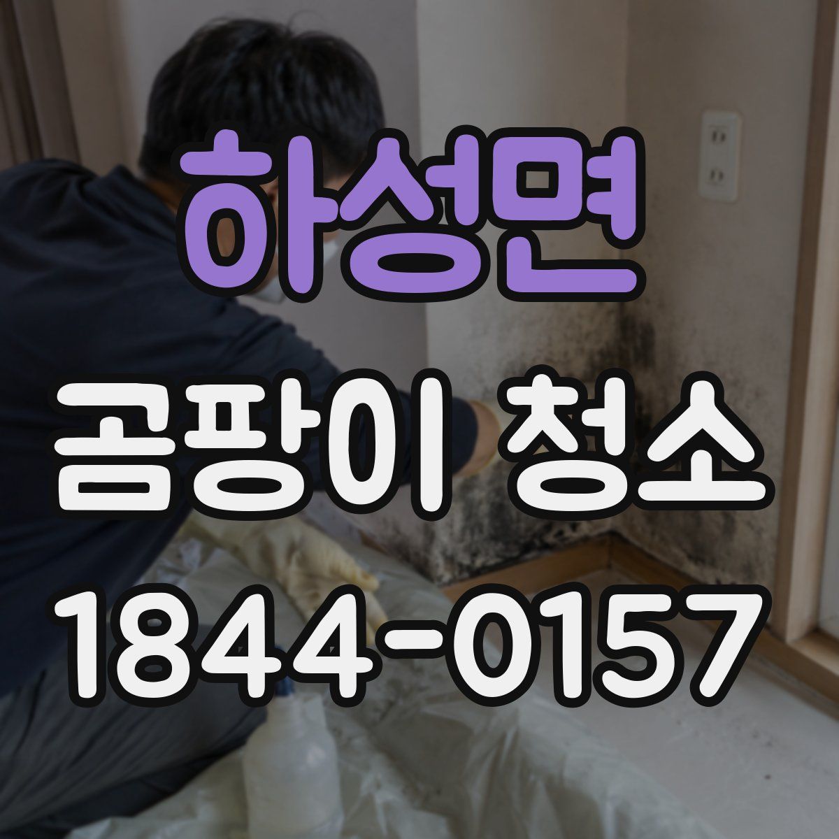 하성면 곰팡이 청소