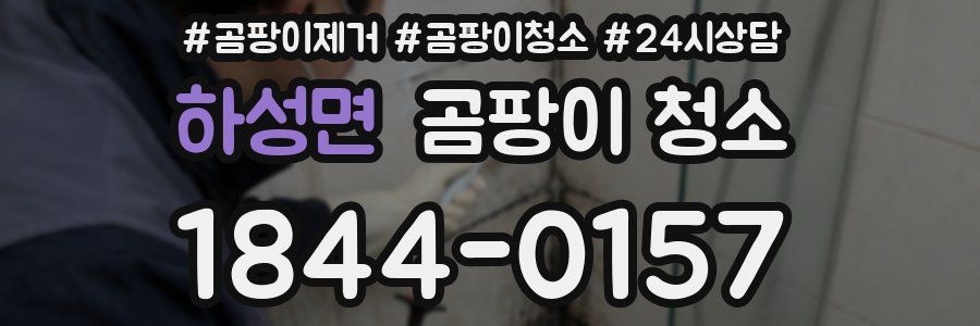 하성면 곰팡이 청소