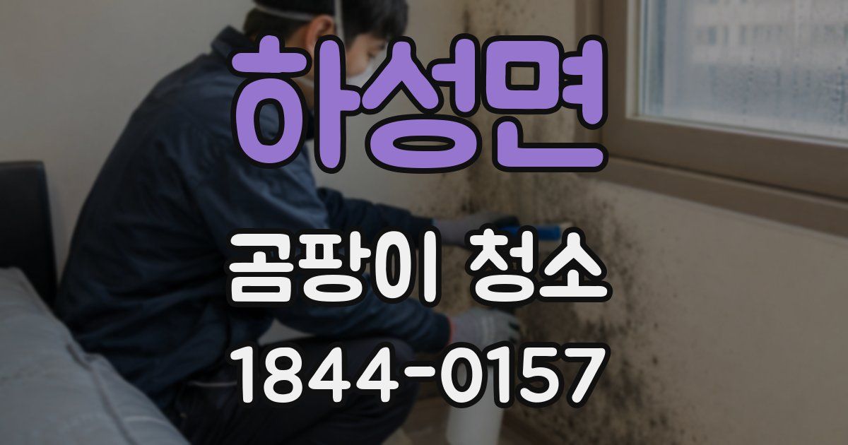 하성면 곰팡이 청소