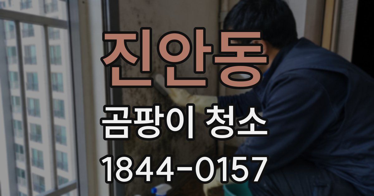 진안동 곰팡이 청소
