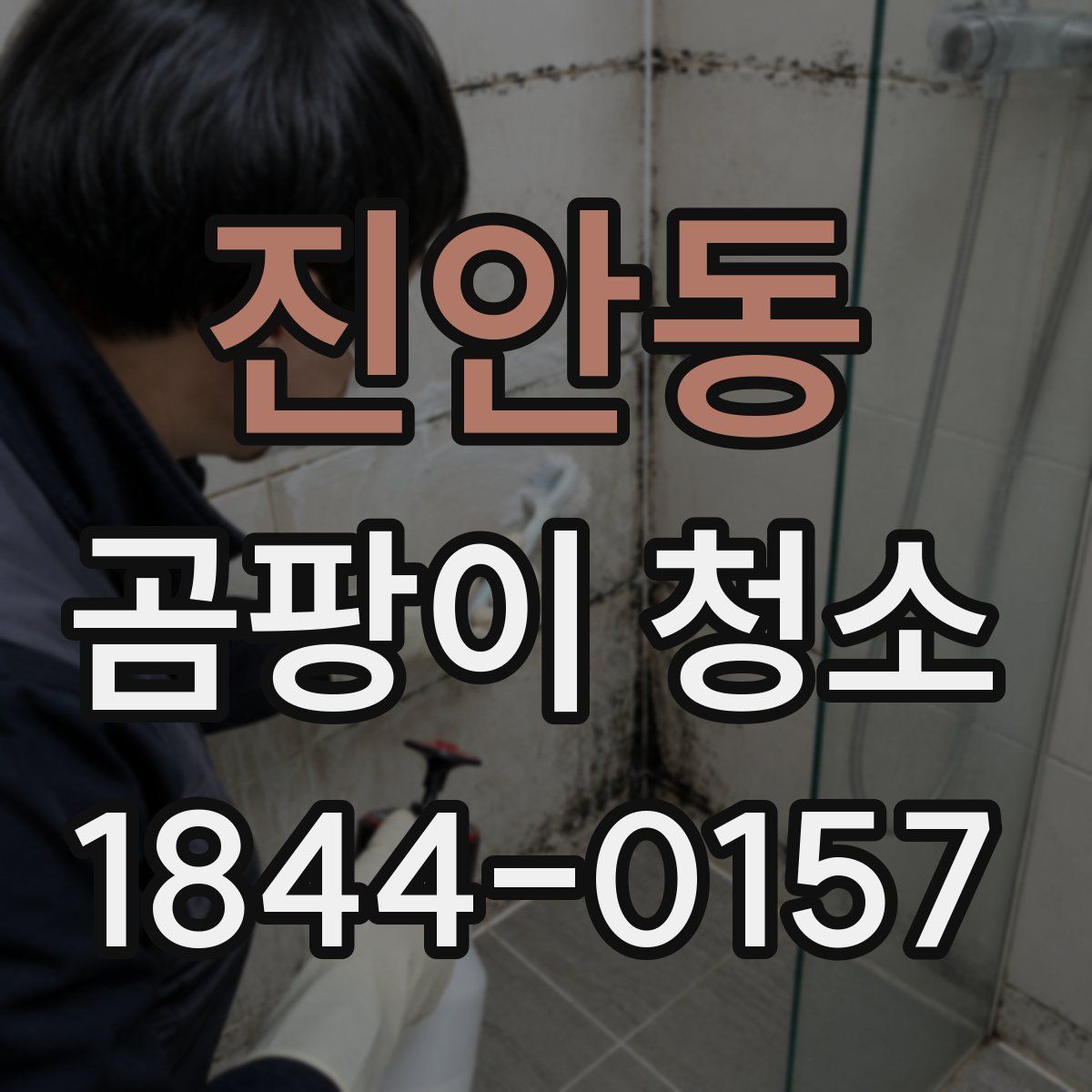 진안동 곰팡이 청소