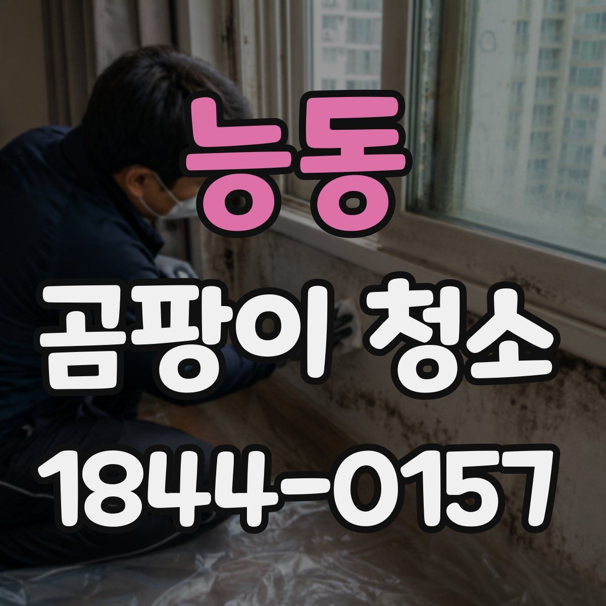 능동 곰팡이 청소