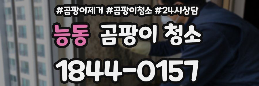 능동 곰팡이 청소